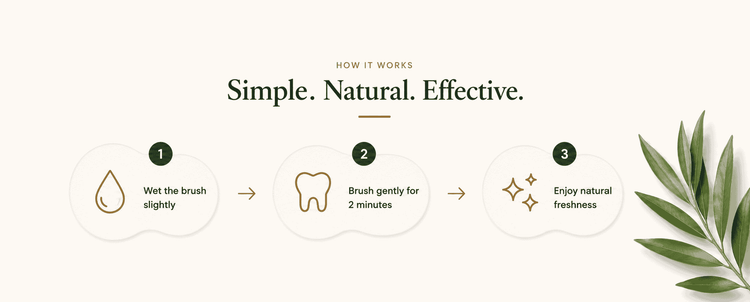 Instructions for using a natural toothbrush with a leafy green design element on a white background.